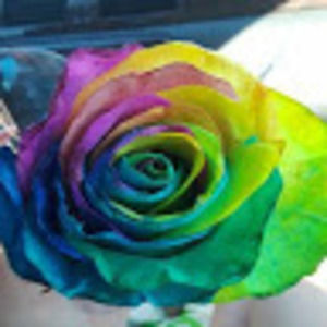 Meet your Posher, Tabitha